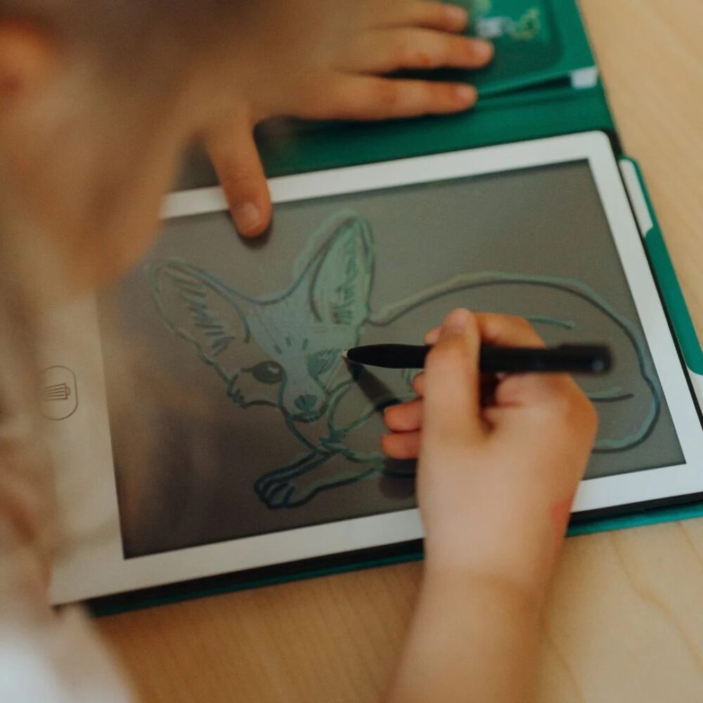 KIDY WOLF piešimo knyga SU LCD EKRANU – PASAULIO GYVŪNAI