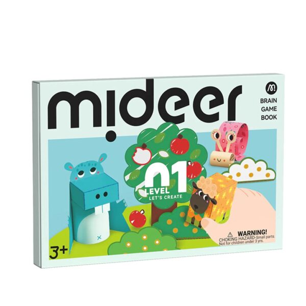 Mideer Level 1 – Kūrybiniai Projektai