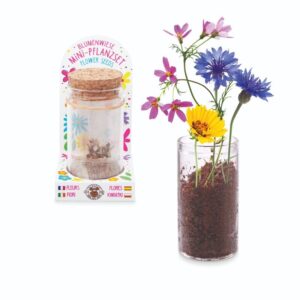 Mini gėlių sodinimo rinkinys