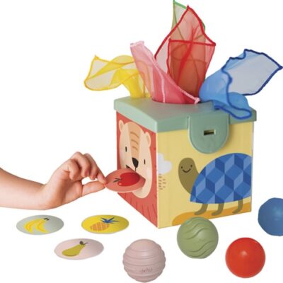 TAF TOYS lavinamasis žaislas MAGIC BOX