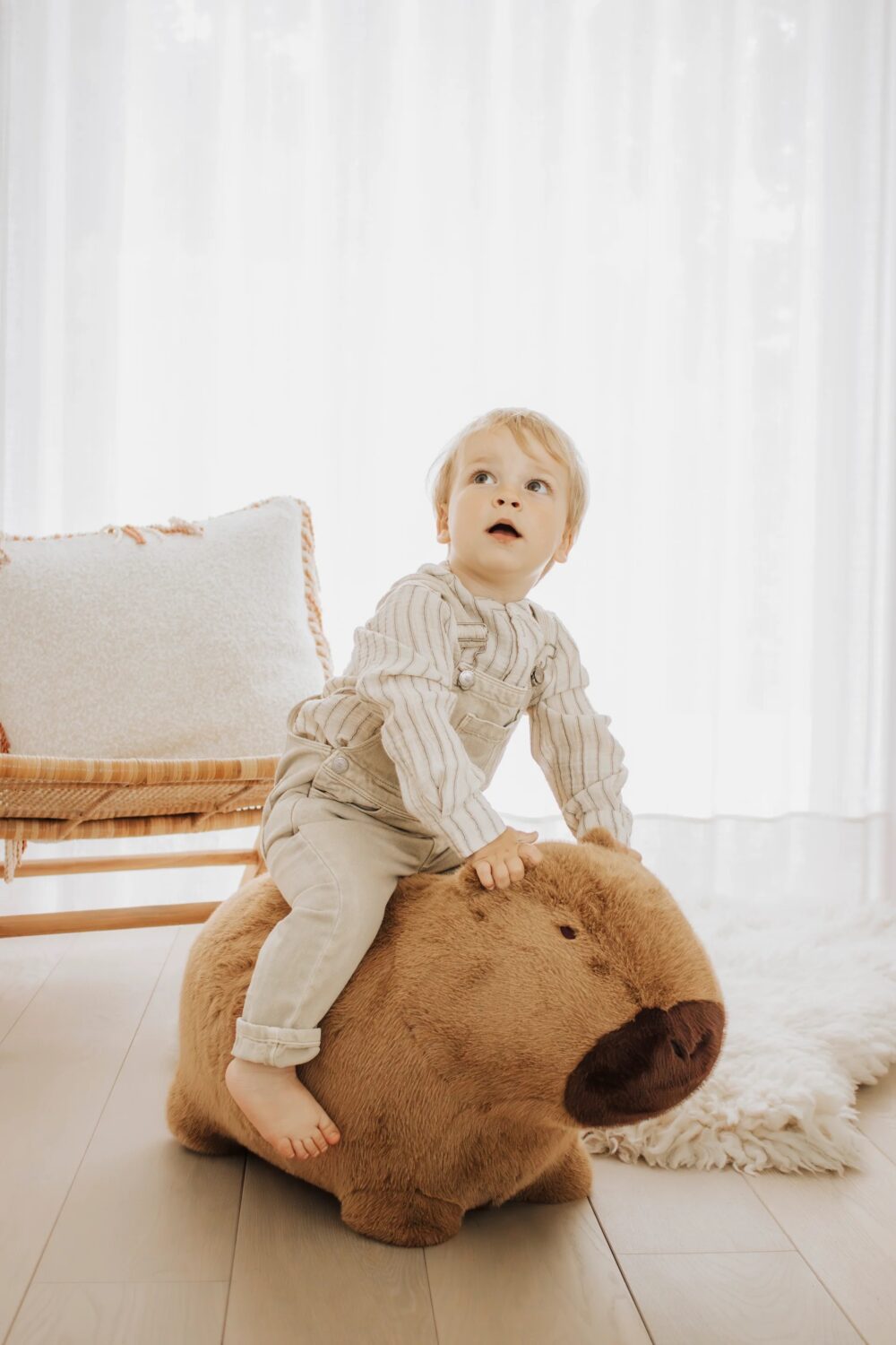 WILD&SOFT minkštas pripučiamas šokliukas KAPIBARA